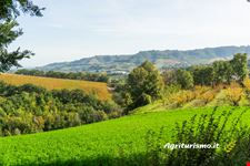 95521408250332_63062 La Campana, Province of Ascoli Piceno, Italy_29.jpg